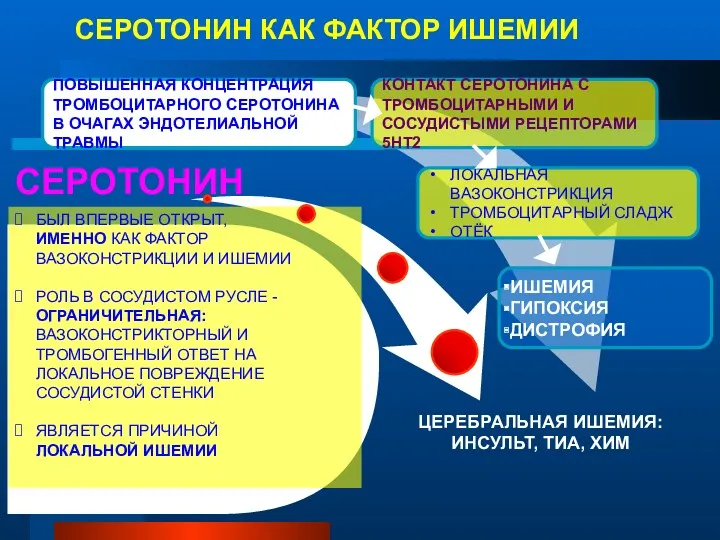 ИШЕМИЯ ГИПОКСИЯ ДИСТРОФИЯ СЕРОТОНИН КАК ФАКТОР ИШЕМИИ ЦЕРЕБРАЛЬНАЯ ИШЕМИЯ: ИНСУЛЬТ,