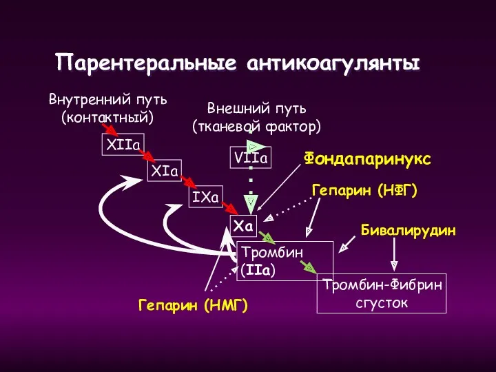 Парентеральные антикоагулянты XIIa XIa IXa Внутренний путь (контактный) Xa Внешний