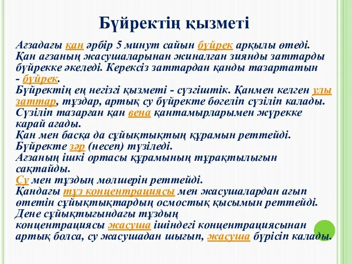 Ағзадағы қан әрбір 5 минут сайын бүйрек арқылы өтеді. Қан