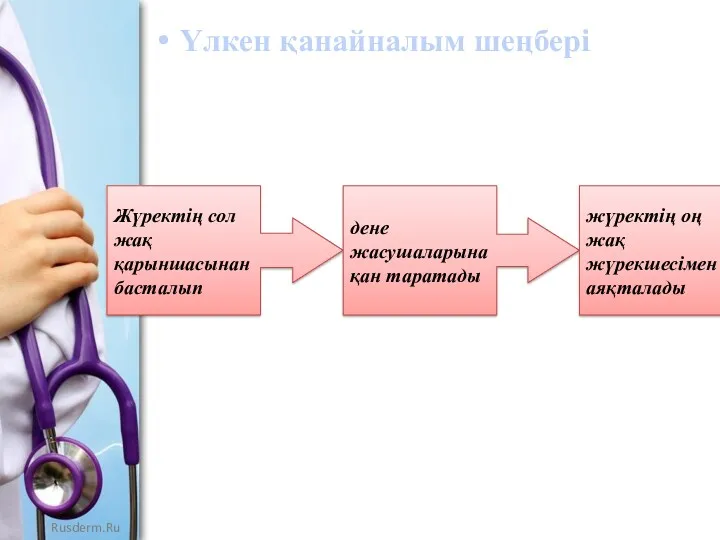 Үлкен қанайналым шеңбері Үлкен қанайналу шеңбері деп аталу себебі -