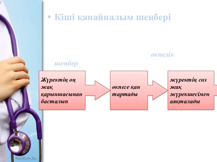 Кіші қанайналым шеңбері Кіші қанайналым шеңбері деп аталу себебі -