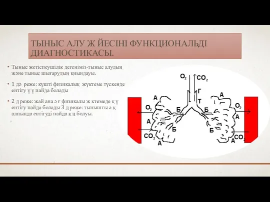 ТЫНЫС АЛУ Ж ЙЕСІНІ ФУНКЦИОНАЛЬДІ ДИАГНОСТИКАСЫ. Тыныс жетіспеушілік дегеніміз-тыныс алудың