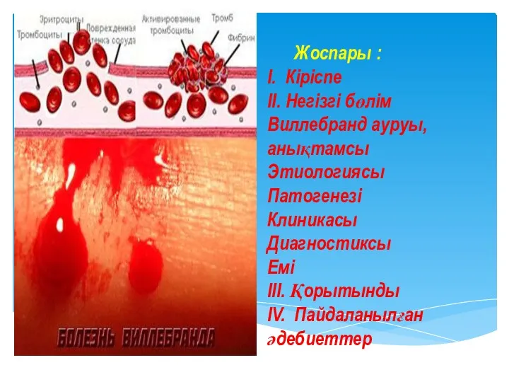 Жоспары : I. Кіріспе II. Негізгі бөлім Виллебранд ауруы, анықтамсы