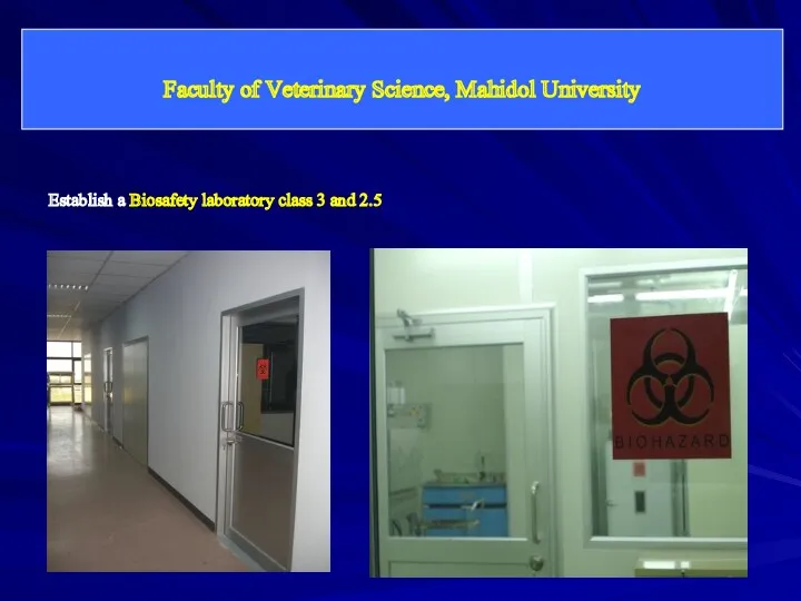 Faculty of Veterinary Science, Mahidol University Establish a Biosafety laboratory class 3 and 2.5