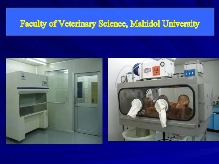 Faculty of Veterinary Science, Mahidol University