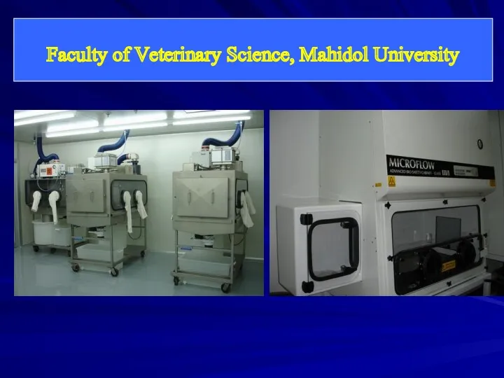 Faculty of Veterinary Science, Mahidol University