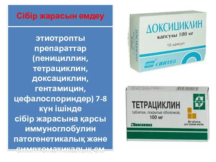 Сібір жарасын емдеу этиотропты препараттар (пенициллин, тетрациклин, доксациклин, гентамицин, цефалоспориндер)