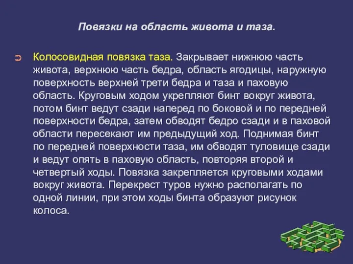 Повязки на область живота и таза. Колосовидная повязка таза. Закрывает нижнюю часть живота,