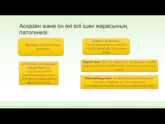 Асқазан және он екі елі ішек жарасының патогенезі: Қышқыл-пептикалық фактор