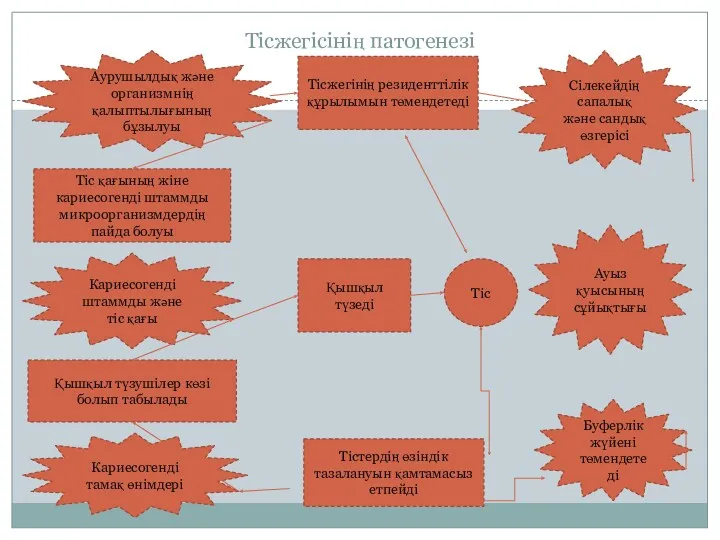 Тісжегісінің патогенезі Аурушылдық және организмнің қалыптылығының бұзылуы Тіс қағының жіне