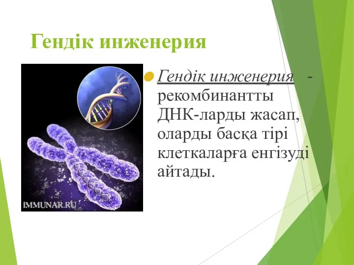 Гендік инженерия Гендік инженерия - рекомбинантты ДНК-ларды жасап, оларды басқа тірі клеткаларға енгізуді айтады.