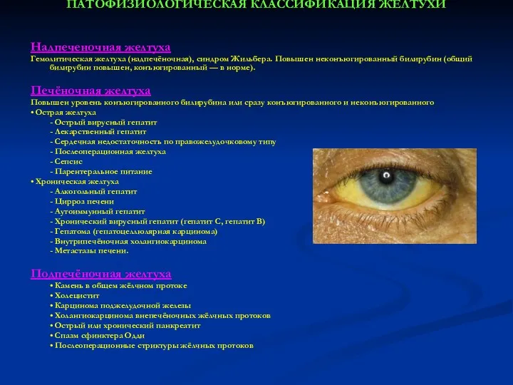 ПАТОФИЗИОЛОГИЧЕСКАЯ КЛАССИФИКАЦИЯ ЖЕЛТУХИ Надпеченочная желтуха Гемолитическая желтуха (надпечёночная), синдром Жильбера. Повышен неконъюгированный билирубин