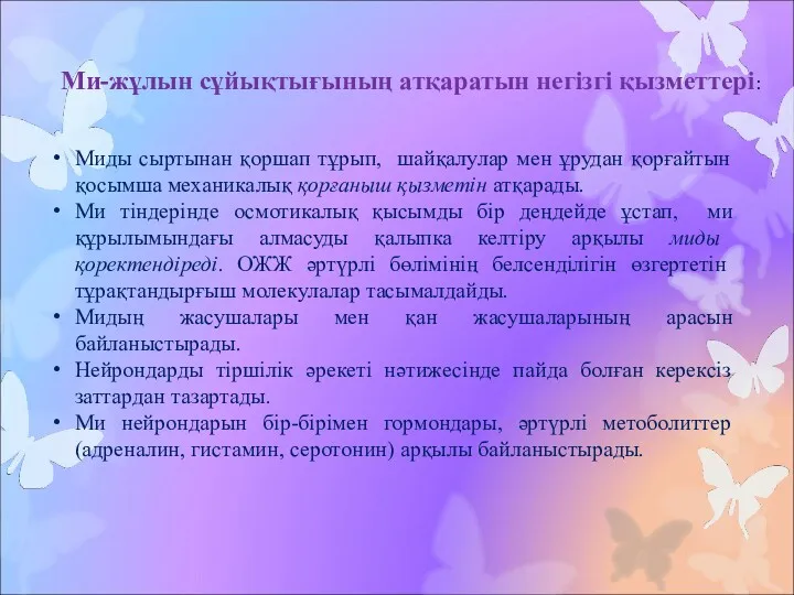 Миды сыртынан қоршап тұрып, шайқалулар мен ұрудан қорғайтын қосымша механикалық