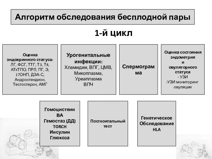 Алгоритм обследования бесплодной пары Оценка эндокринного статуса: ЛГ, ФСГ, ТТГ,