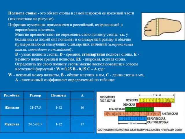 Полнота стопы - это обхват стопы в самой широкой ее