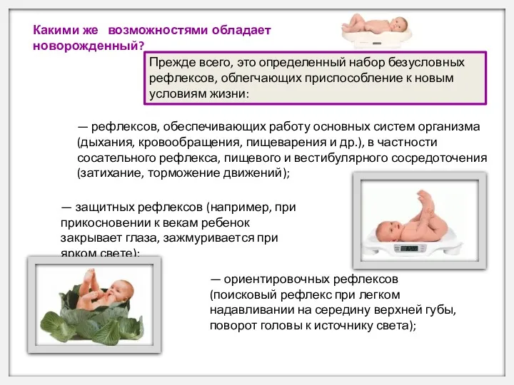 — рефлексов, обеспечивающих работу основных систем организма (дыхания, кровообращения, пищеварения