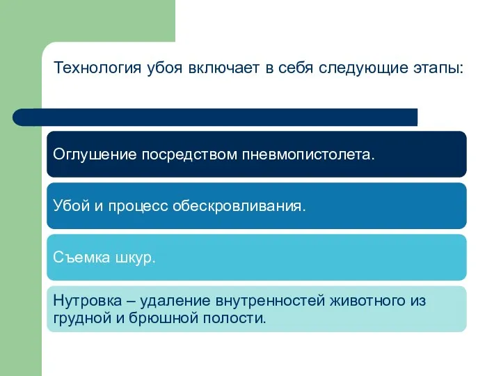 Технология убоя включает в себя следующие этапы: