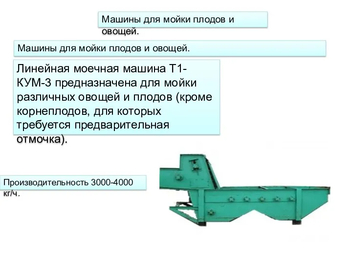 Машины для мойки плодов и овощей. Машины для мойки плодов и овощей. Линейная