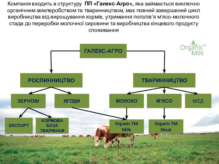 Компанія входить в структуру ПП «Галекс-Агро», яка займається виключно органічним