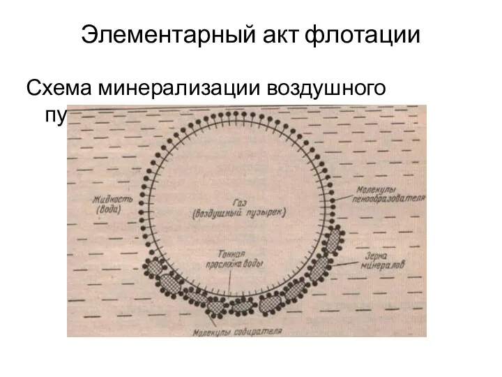 Элементарный акт флотации Схема минерализации воздушного пузырька