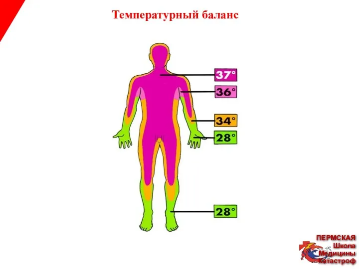 Температурный баланс