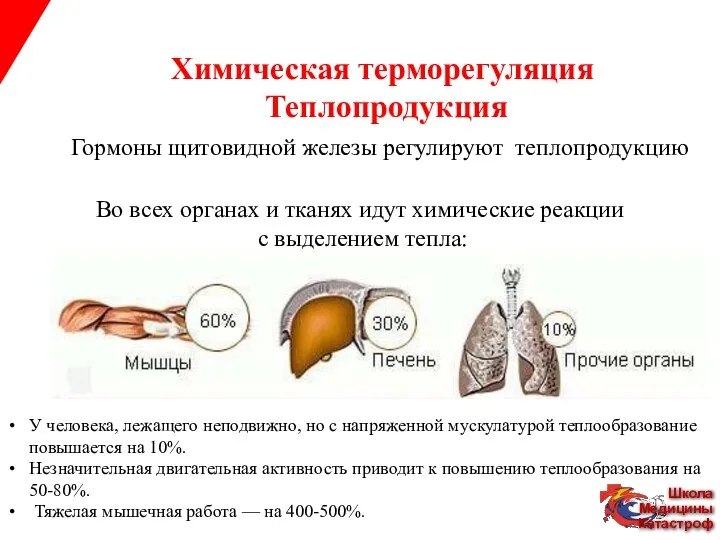 Химическая терморегуляция Теплопродукция Гормоны щитовидной железы регулируют теплопродукцию Во всех