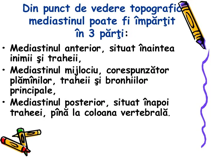 Din punct de vedere topografic mediastinul poate fi împărţit în