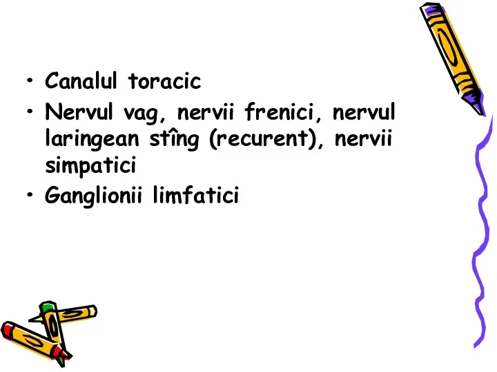 Canalul toracic Nervul vag, nervii frenici, nervul laringean stîng (recurent), nervii simpatici Ganglionii limfatici