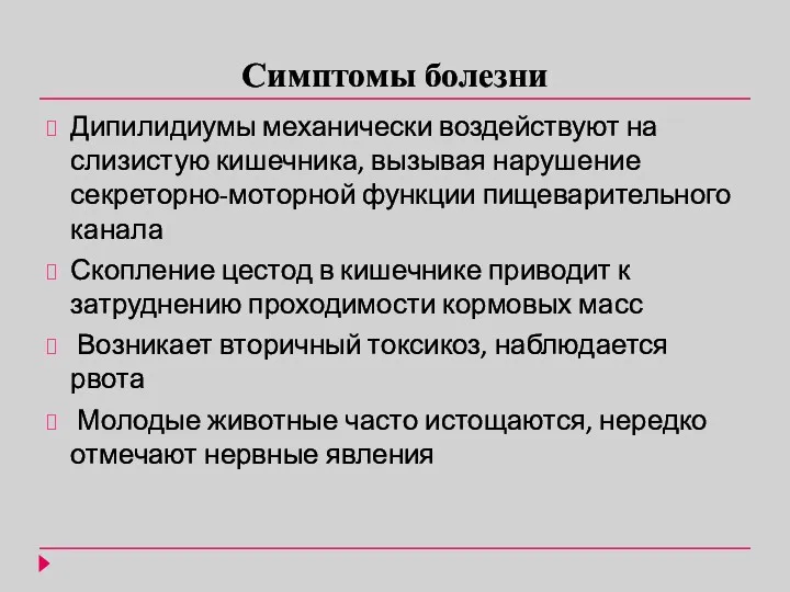 Симптомы болезни Дипилидиумы механически воздействуют на слизистую кишечника, вызывая нарушение