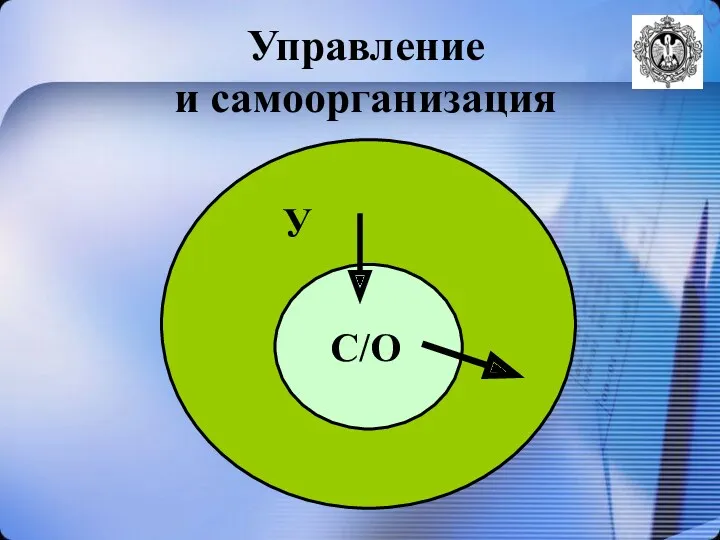 Управление и самоорганизация