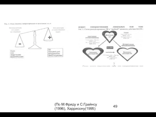 (По М.Фриду и С.Грайнсу (1996), Харрисону(1995)