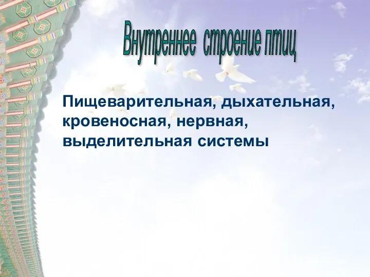 Внутреннее строение птиц Пищеварительная, дыхательная, кровеносная, нервная, выделительная системы