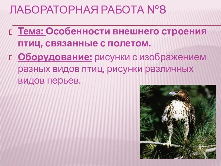 ЛАБОРАТОРНАЯ РАБОТА №8 Тема: Особенности внешнего строения птиц, связанные с