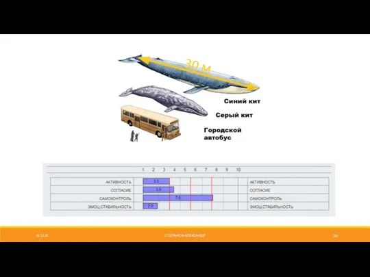 16.12.18 СТЕПАНОВ АЛЕКСАНДР