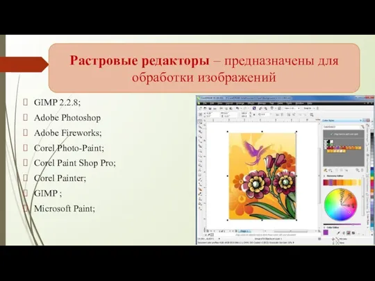 GIMP 2.2.8; Adobe Photoshop Adobe Fireworks; Corel Photo-Paint; Corel Paint