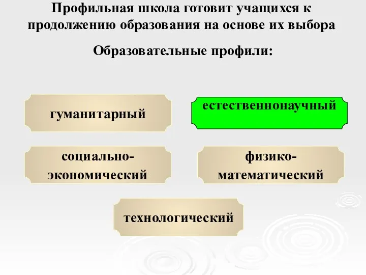 Профильная школа готовит учащихся к продолжению образования на основе их