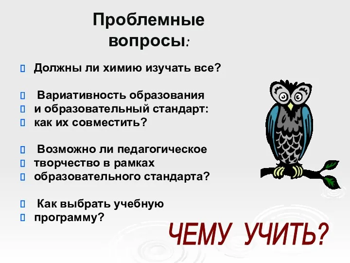 Проблемные вопросы: Должны ли химию изучать все? Вариативность образования и