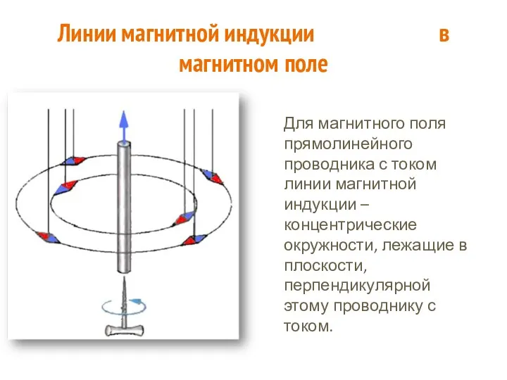 Для магнитного поля прямолинейного проводника с током линии магнитной индукции