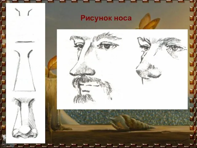 Рисунок носа