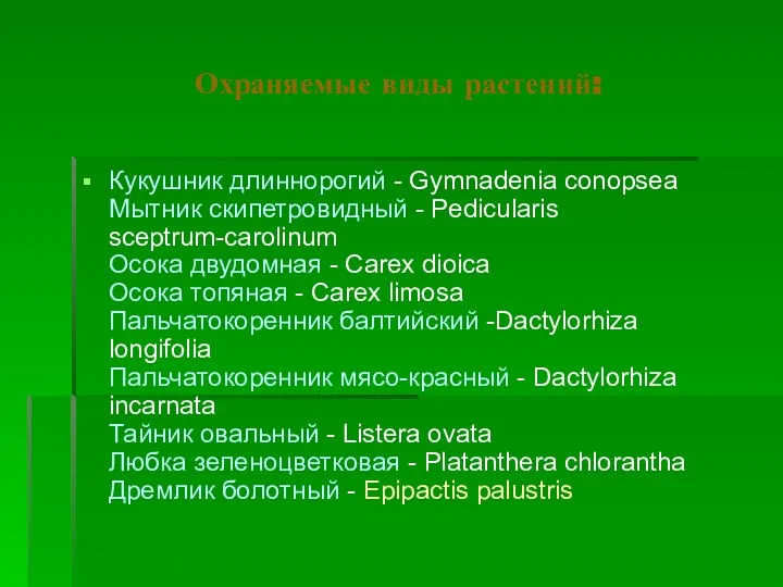 Охраняемые виды растений: Кукушник длиннорогий - Gymnadenia conopsea Мытник скипетровидный