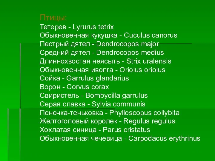 Птицы: Тетерев - Lyrurus tetrix Обыкновенная кукушка - Cuculus canorus