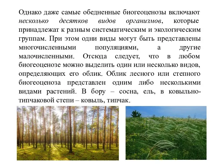 Однако даже самые обедненные биогеоценозы включают несколько десятков видов организмов,