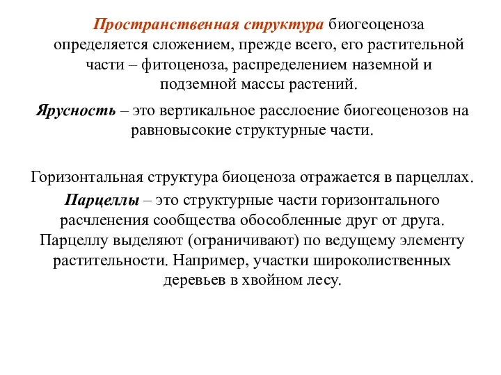 Пространственная структура биогеоценоза определяется сложением, прежде всего, его растительной части