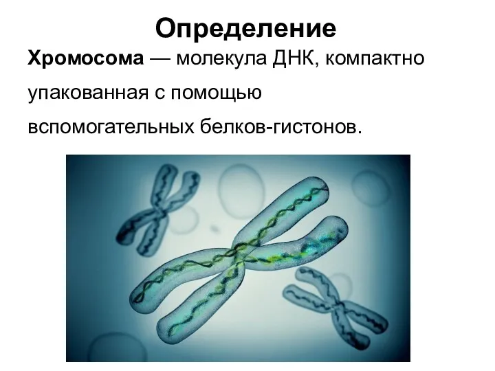Определение Хромосома — молекула ДНК, компактно упакованная с помощью вспомогательных белков-гистонов.