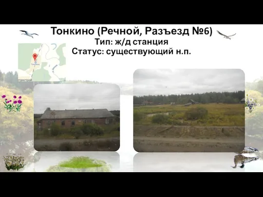 Тонкино (Речной, Разъезд №6) Тип: ж/д станция Статус: существующий н.п.