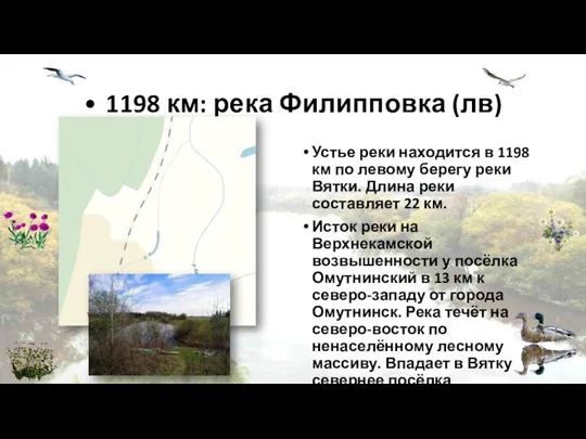 • 1198 км: река Филипповка (лв) Устье реки находится в