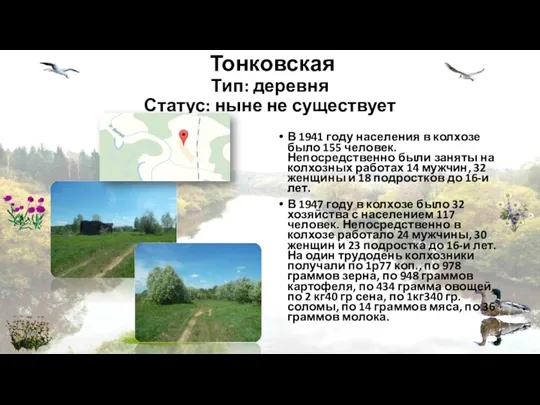 Тонковская Тип: деревня Статус: ныне не существует В 1941 году