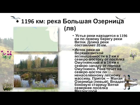 • 1196 км: река Большая Озерница (лв) Устье реки находится
