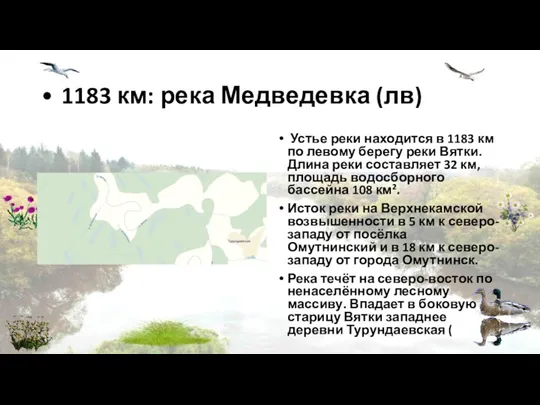 • 1183 км: река Медведевка (лв) Устье реки находится в