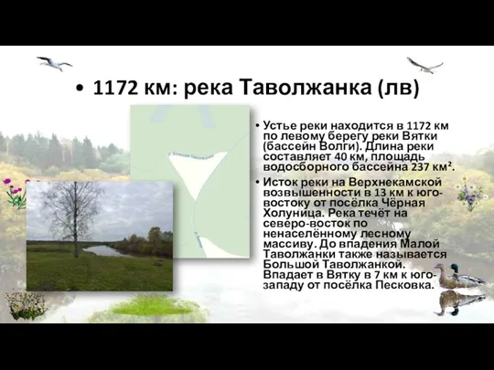 • 1172 км: река Таволжанка (лв) Устье реки находится в